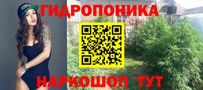 стафф Будённовск