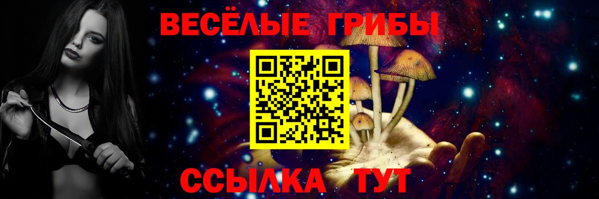 Галлюциногенные грибы прущие грибы Отрадное
